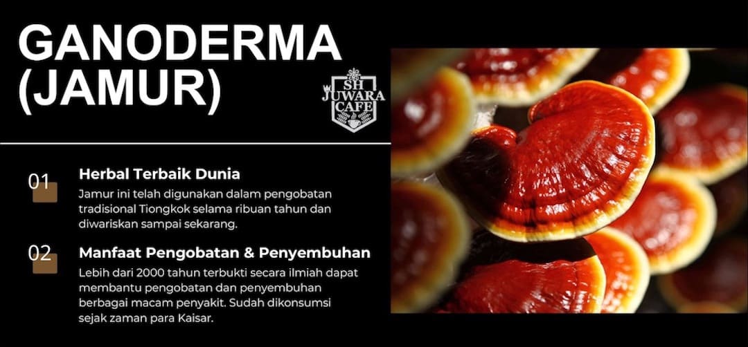 Apa itu Ganoderma 2
