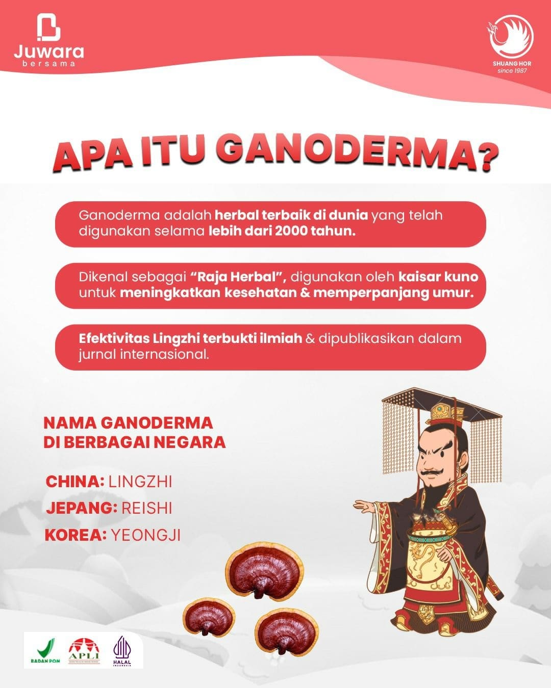 Apa itu Ganoderma 3