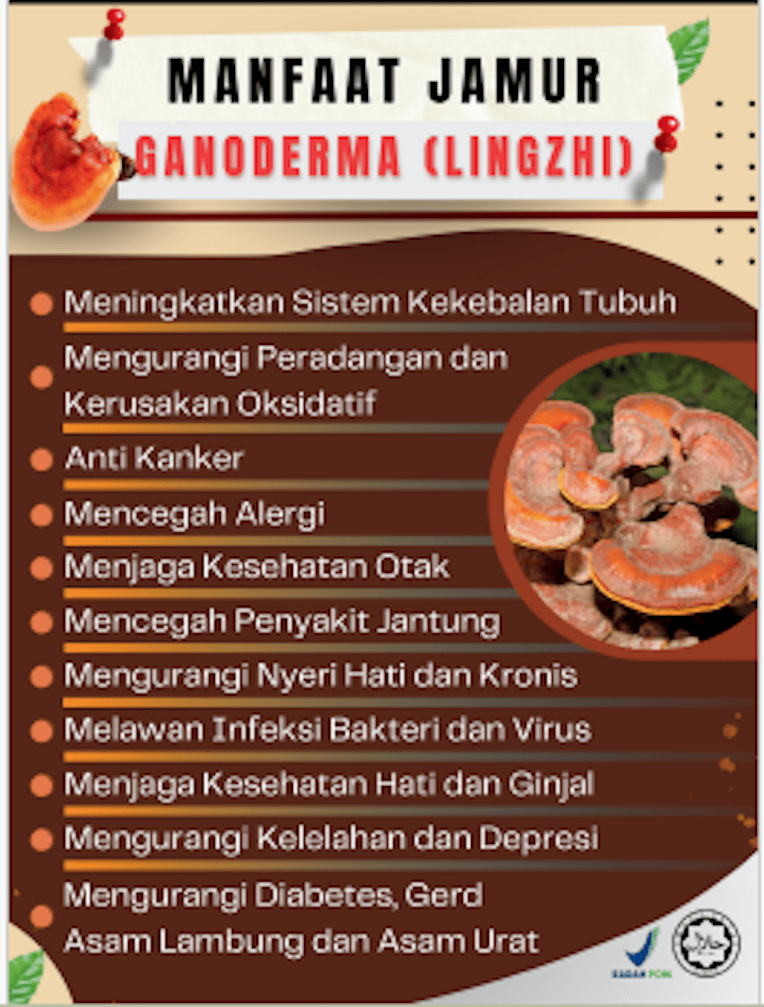 Apa itu Ganoderma 5