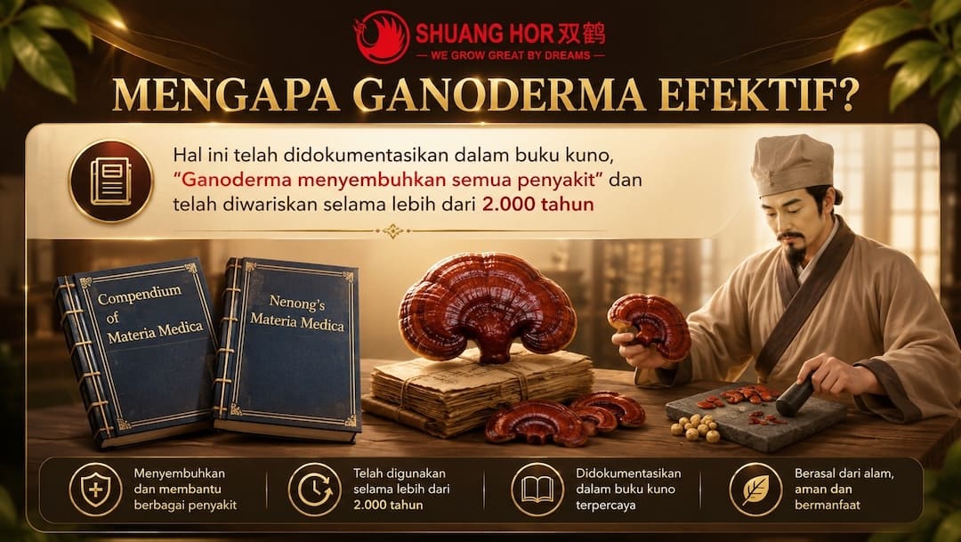 Apa Itu Ganoderma 3